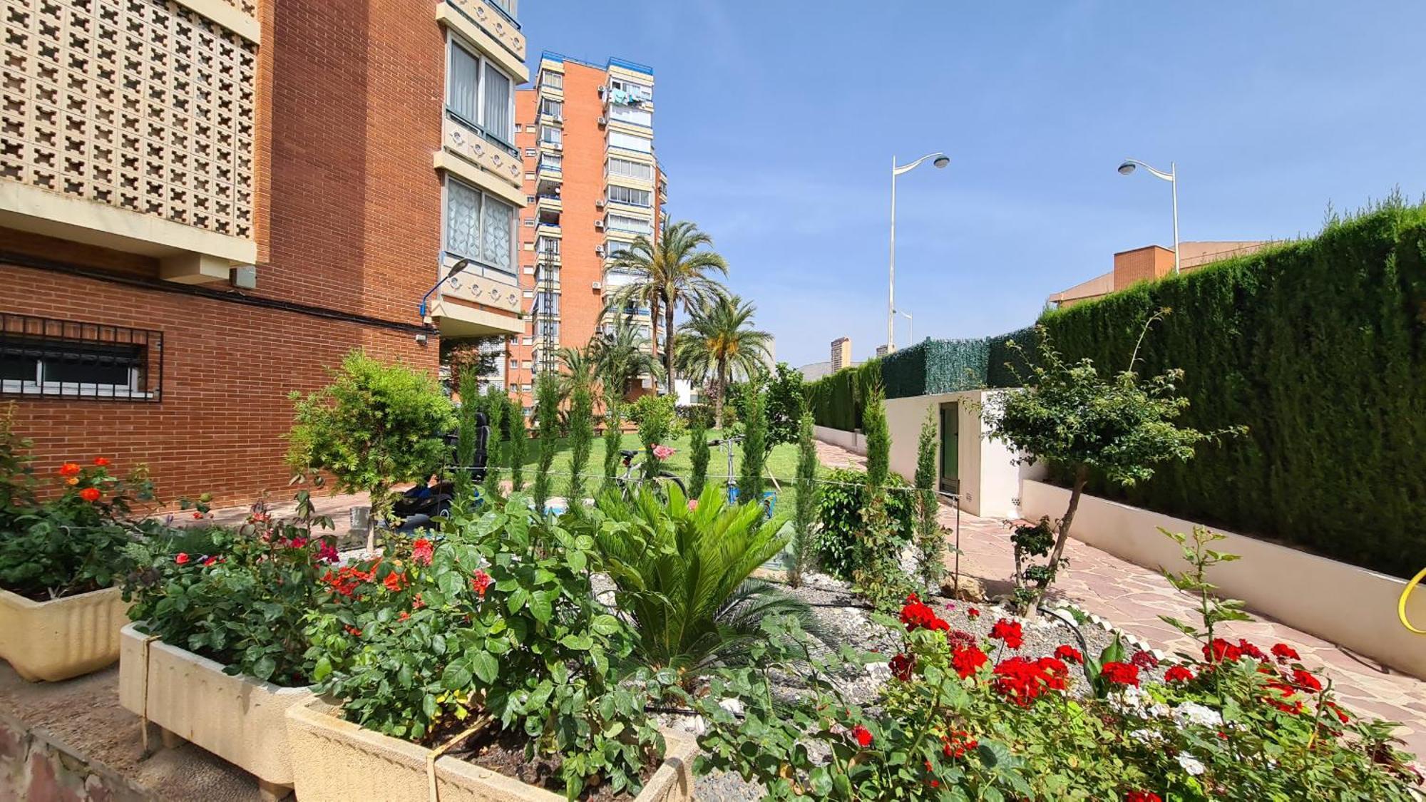 Apartamento San Sebastian If בנידורם מראה חיצוני תמונה